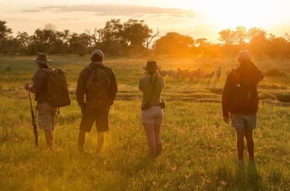 Walking Safaris in Botswana